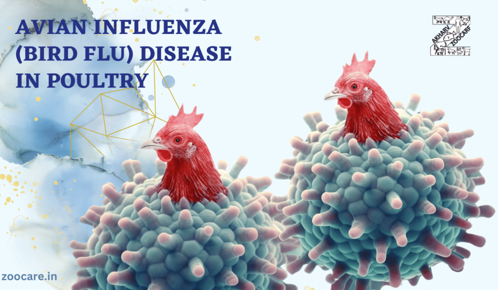 Understanding Avian Influenza (Bird Flu) in Poultry Birds - AKHARV ...