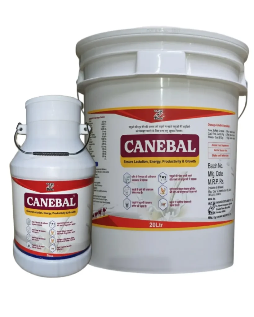 CANEBAL GOLD