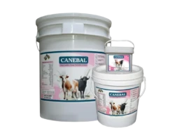 CANEBAL GRANULES