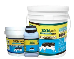 3XN GOLD