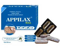 APPILAX BOLUS – Gut health supplement for cattle, appetite enhancer for livestock, and daily digestion booster. APPILAX BOLUS