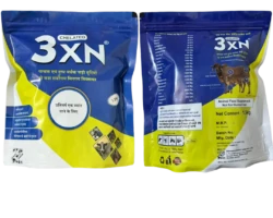 3xn Powder