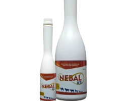 NEBAL XP